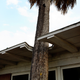 Illustration for article titled The Faded Glory of Dilapidated Modernist Homes